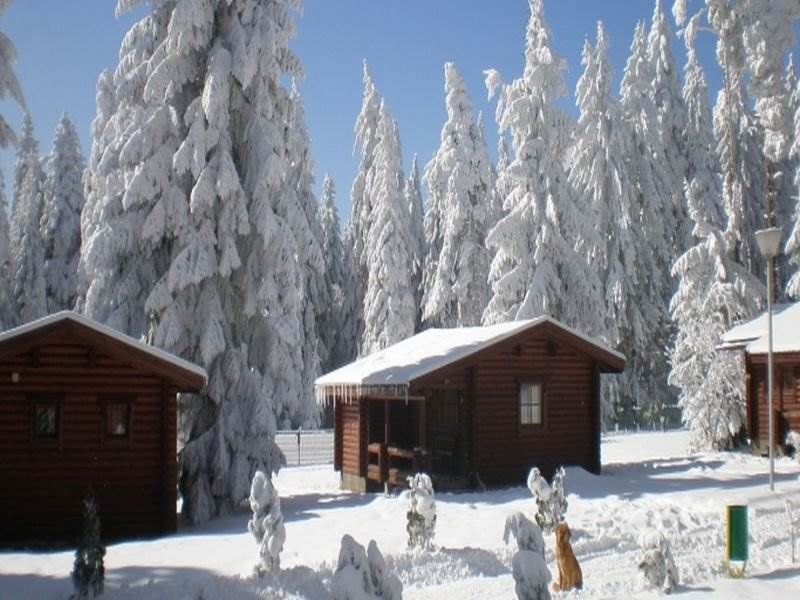 Villa Yagoda Borovets Luaran gambar